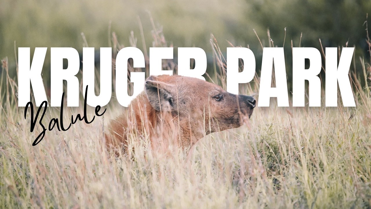 You're Doing Kruger Wrong If You Skip This | EP2 | Kruger National Park