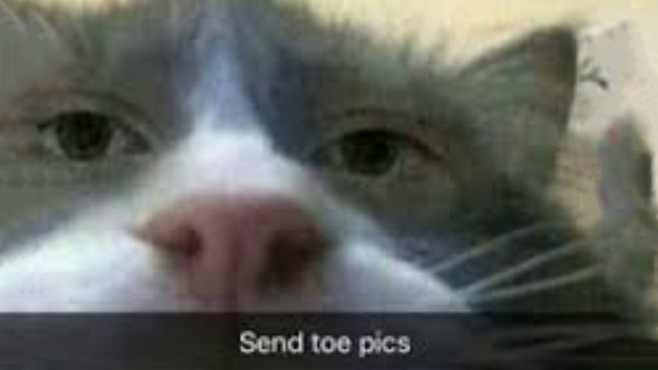 MEMES I PERMANENTLY SAVED PT.12