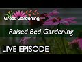 Live episode great gardening  raised beds