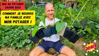 Début à mi-mai au potager - SAISON 2023 #potager #vlog