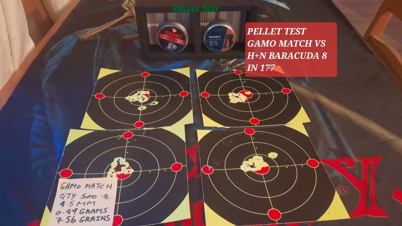 H+N Baracuda 8 vs Gamo Match Weihrauch HW97K Pellet Test 177 