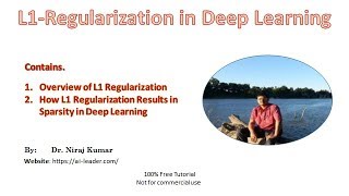 L1 Regularization in Deep Learning and Sparsity