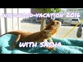 Wildwood Vacation with Sasha! | 2016