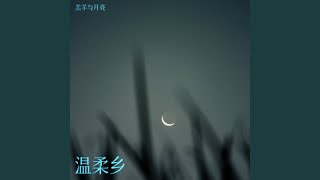 孤夜独待风吹来