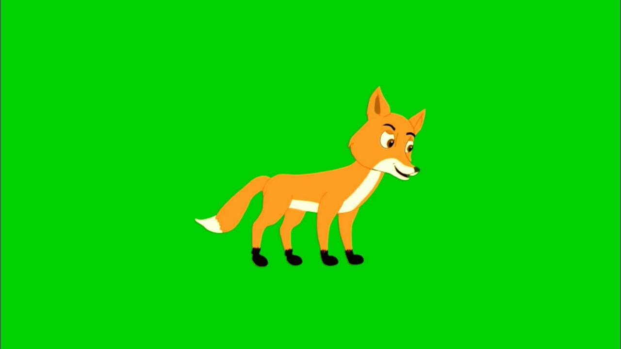 Green Screen Cartoon Animal/Cartoon Animal Animation/Cartoon Fox Green Screen YouTube