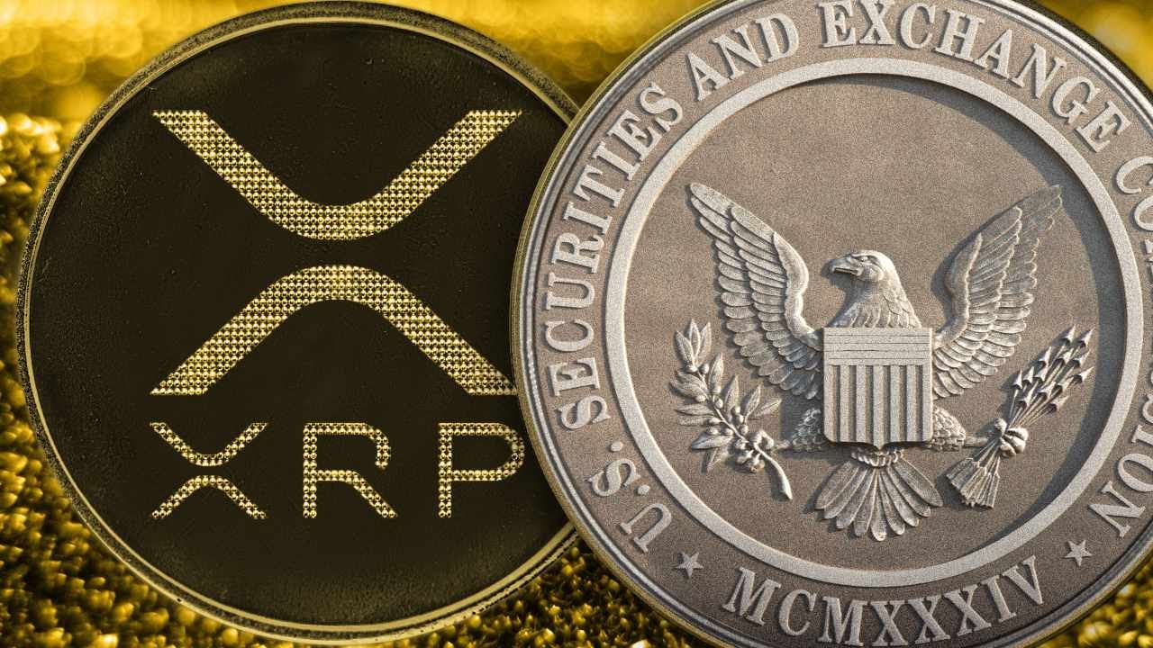 XRP YouTube XRP YouTube