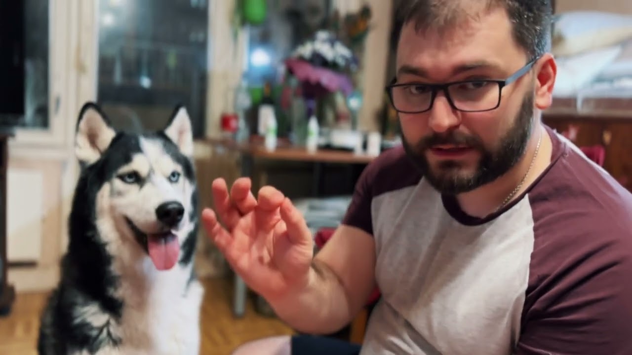 ХАСКИ ЗАБОЛЕЛ: Баланопостит у собаки