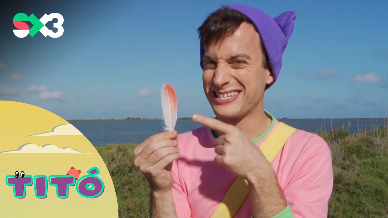 Excursió al Delta | Titó