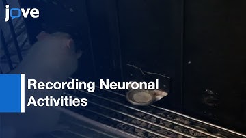 Fully Automated & Highly Versatile System For Testing Multi-Cognitive Functions l Protocol Preview