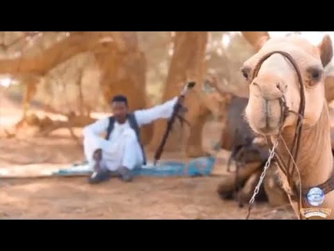 جديد عبدالله ود الشيخ فروس 