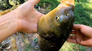 BREAD vs CORN plus GIVEAWAY items and my best carp FIGHT in a long time