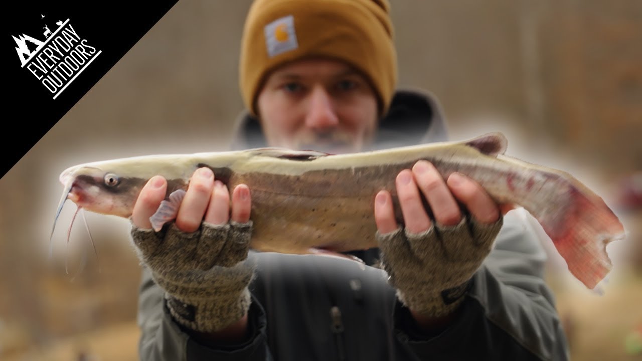 Pay Lake Rods Channel Catfish on a Paylake! - YouTube