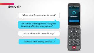 How to Set Up Amazon Alexa (Connecting to Amazon) | Lively Flip screenshot 5