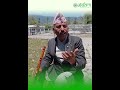 Let's listen to the melody of the flute and the flute's obstacle Gyan Bahadur Nepali #arthatantra