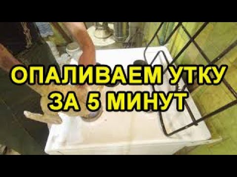 Как опалить утку в домашних условиях видео