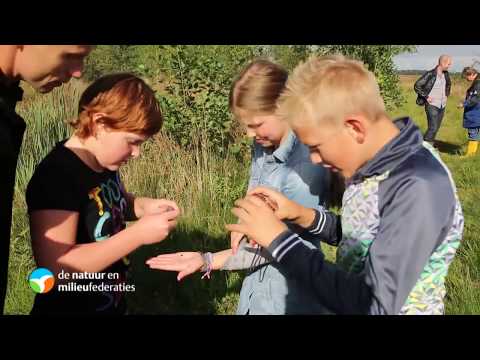 Introductie Natuur en Milieufederaties