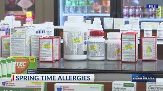 Pollen alert: Spring season triggers allergy symptoms