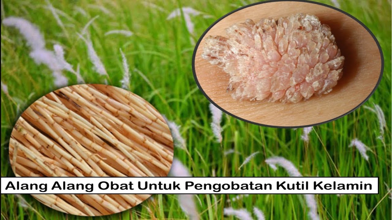 Pin On Klinik Sehat Herbal