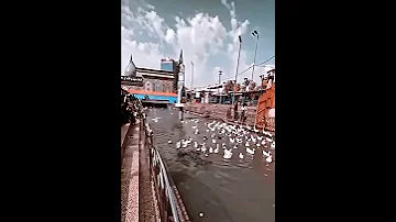 يا مطول الغيبه حالات واتساب 
