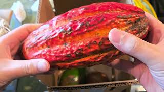 Miami Fruit - Build Your Own Tropical Fruit Box - Unboxing - Black Friday 2025 BOGO 
