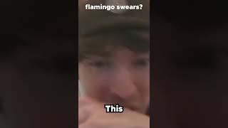 Flamingo swears on his stream..