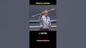 What is a Vector? Walter Lewin Explains this #physics #science