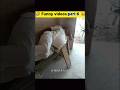 🤣 Funny videos part 6 😂 || facts A to Z #shots #funny #viral #viral #facts