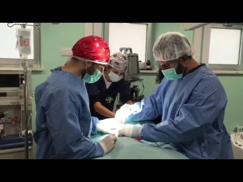 Animal Health Veterinary Clinic Surgery