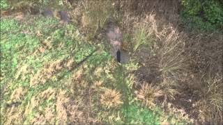 Información Wirral Gundogs: Barry Cooper - retrieve over 4 fences and a ditch Noticias