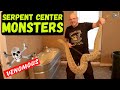 Biggest Rattlesnakes Bushmasters Gaboon Vipers Fer de Lance  Gila Monster