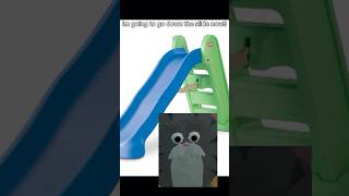 Jasper Goes Down The Slide #ug #vr #cat