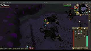 Budget Brutal Black Dragons - Hunters sunlight crossbow / 5-7 kills per trip/ Read Video Description