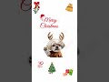 CHIRSTMAS SUMMER