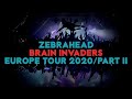 Zebrahead - Brain Invaders Tour Part 2 - FULL TOUR RECAP 2020
