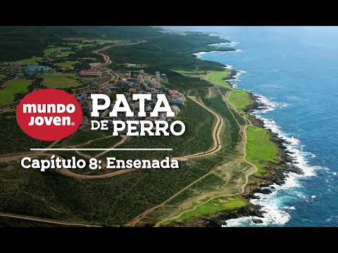 PATA DE PERRO | Capítulo 8: Ensenada