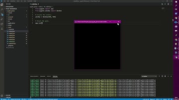Python Pyglet Snake 1