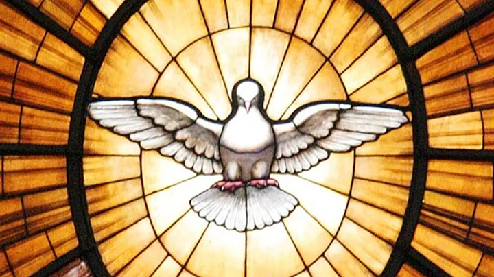 Holy Family Confirmation Mass (8/16/2020)