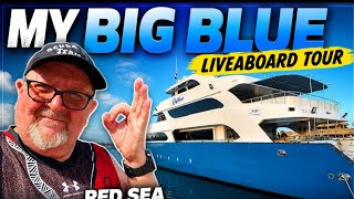 MY Big Blue Liveaboard Tour Red Sea Scuba Diving Boat Egypt 🇪🇬. Roots Red Sea Pharaoh Dive Club RAID