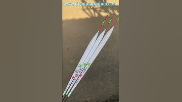 Phao Phi Yến chuyên rô phi. www.docautamnhan.com