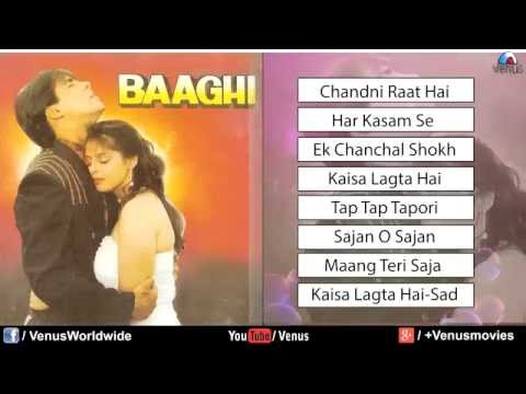 Baaghi Audio Jukebox   Salman Khan & Nagma 1990