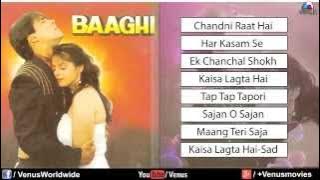 Baaghi Audio Jukebox   Salman Khan & Nagma 1990
