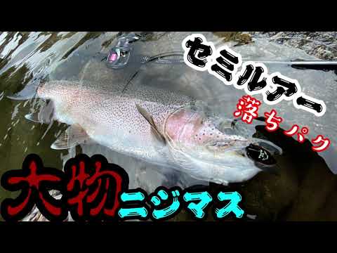セミルアー タイニーシグレ が落ちパクで大物ニジマスが 最大記録更新 Youtube セミルアー タイニーシグレ が落ちパクで大物ニジマスが 最大記録更新 Youtube