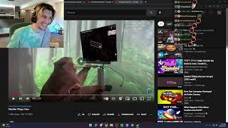 xQc Can't Stop Laughing at a Monkey Playing Osu