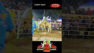 PATITA DE ELEFANTE VS DANI CERVANTES