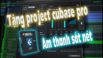 TẶNG PROJECT CUBASE 10 11 12 PRO CHO ANH EM  ÂM THANH SẮT NÉT TNS