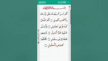 surah Al fil 105 | سورة الفيل - mishary rashid alafasy