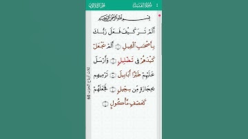 surah Al fil 105 | سورة الفيل - mishary rashid alafasy