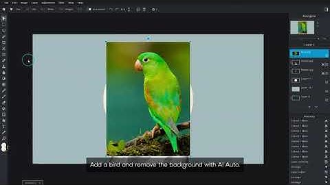 14 How to Create Surreal Flower Collage Pixlr E