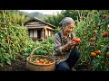 Yuki picks the first tomato of summer in the garden
