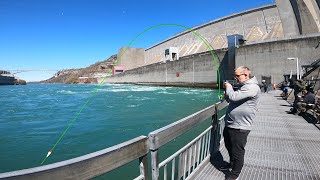 Catching MONSTER LAKE TROUT and STEELHEAD from the SHORE | Niagara River Fishing